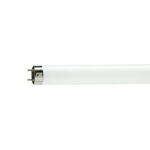 TL5 Essential 14W/830 PHILIPS